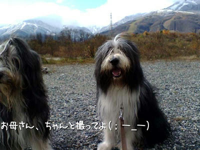 kako-9KHC40h34crZSuN0.jpg