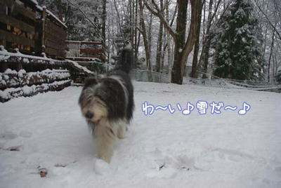 kako-jcp1J1zx35kM8rC6.jpg