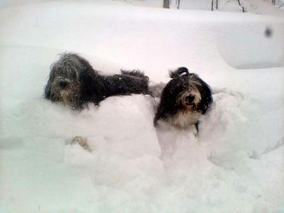 2011_0116.jpg