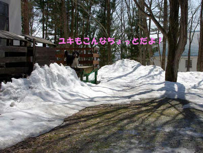 IMGP2084.jpg