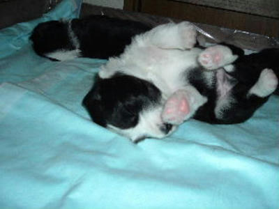 2004_0306maru0005.jpg