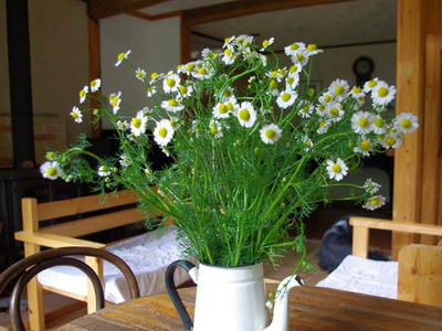 IMGP2223.JPG