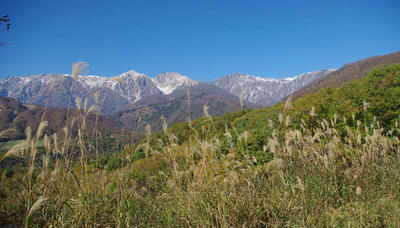 IMGP2791.JPG