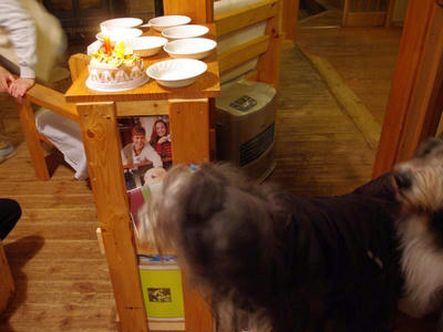 IMGP2967.JPG