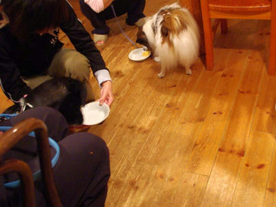 IMGP2971.JPG