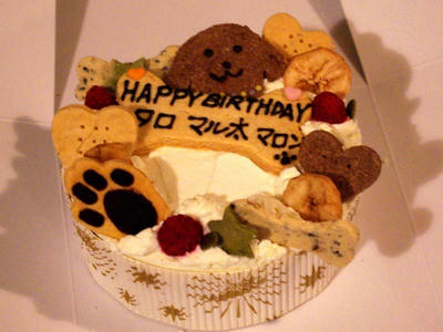 IMGP2986.JPG