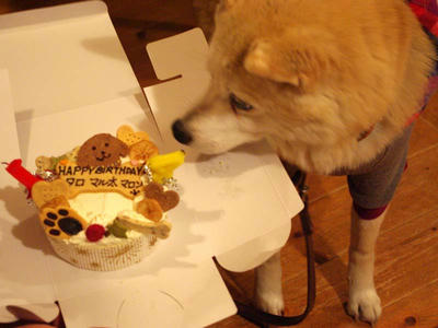 IMGP2987.JPG