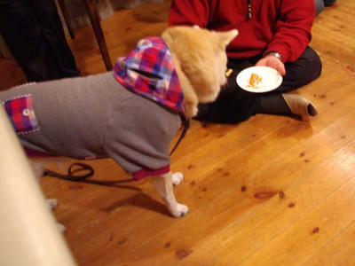 IMGP2997.JPG