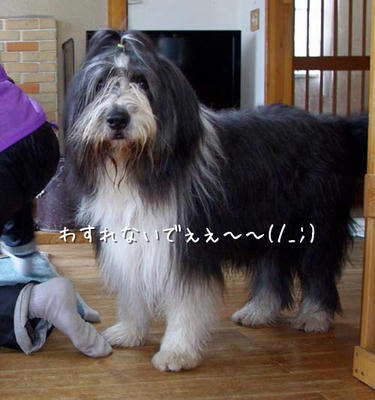 kako-gY7WTzXPxF5Jh5tW.jpg