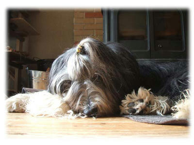 20120905.jpg