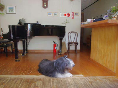 IMGP3503.JPG