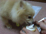 ケーキ♪