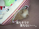 びみょーなバランス