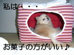 むふっ。