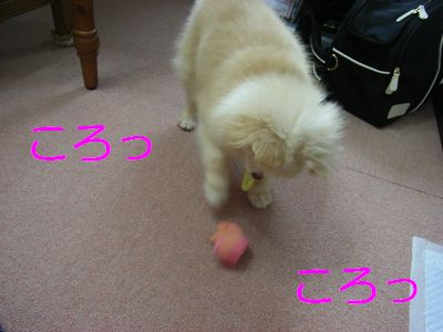 うりゃ♪