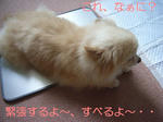 すべる～