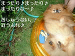 余は満足ぢゃ