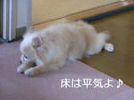 まったり~