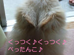 ぴったんこ