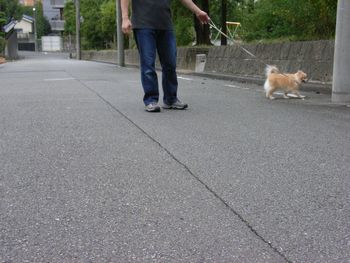 朝の散歩♪