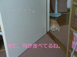 じー・・・。