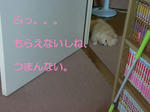 別に、いーよー。