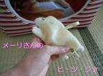 ヒツジ