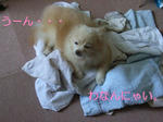 うーん。。。
