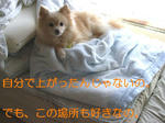 頂上