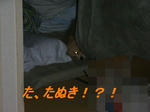 たぬたぬ？