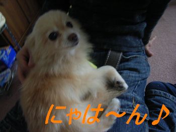 はにゃ♪