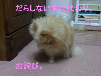 主、しっかりしろ