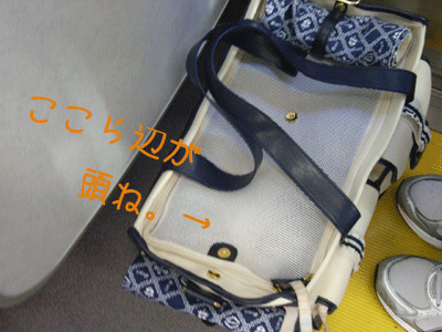 れっつご~