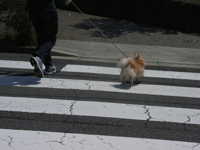 すったかたったった～