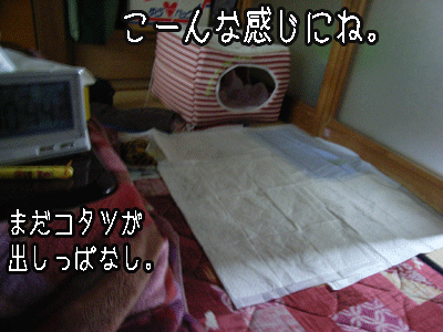 即席ハウス