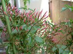 82b1317e.JPG