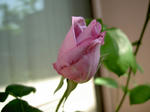 8eec6978.jpg