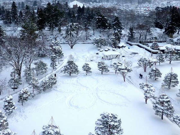 西方向の本丸内には桜の花が