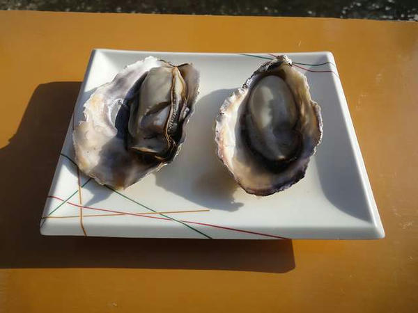 焼き牡蠣（1個200円）