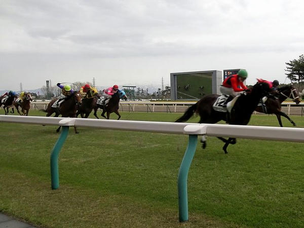 直線競馬で外ラチ沿いを疾走する競走馬