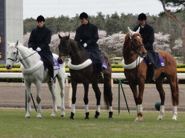 新潟競馬場の誘導馬（中央がスーパージーン号）