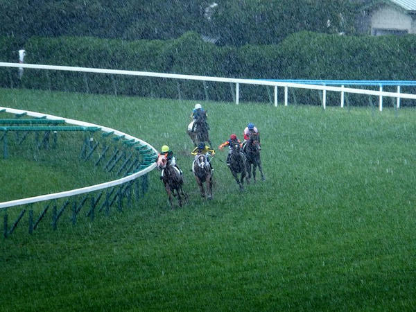 驟雨の中4角を回る競走馬
