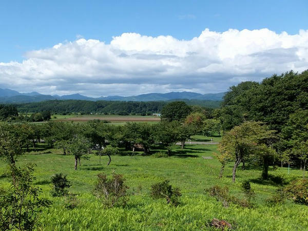 城域南側の丘から館城を望む