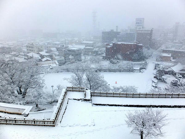 天守台からの光景（鍛冶曲輪自由広場方向）