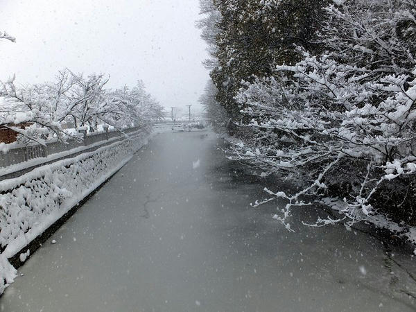 神橋から見た水堀(1)