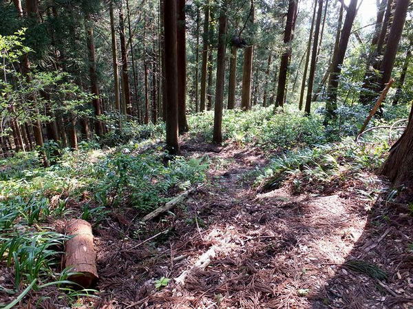 お屋敷