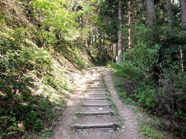 登山道