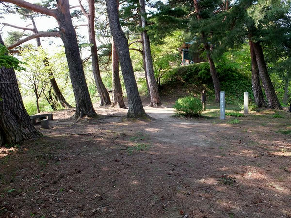 お花畑