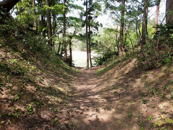 東城砦近くの堀切