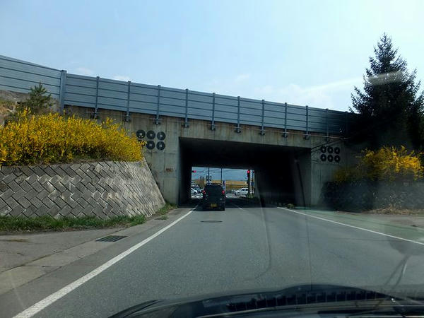 上信越道をくぐるトンネル両側の六文銭